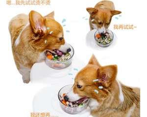 狗狗绝育术后营养餐