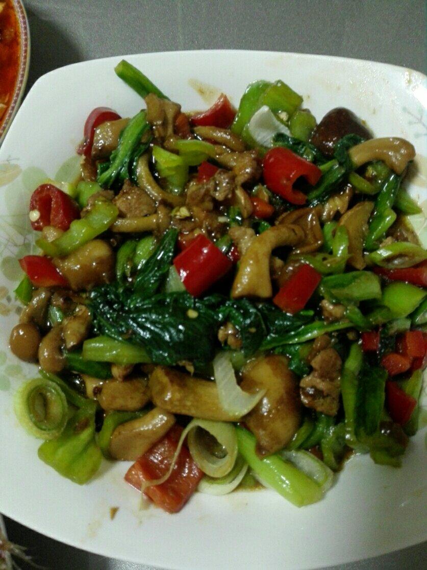 手机用户7123_2cd6做的肉炒小白菜滑子蘑