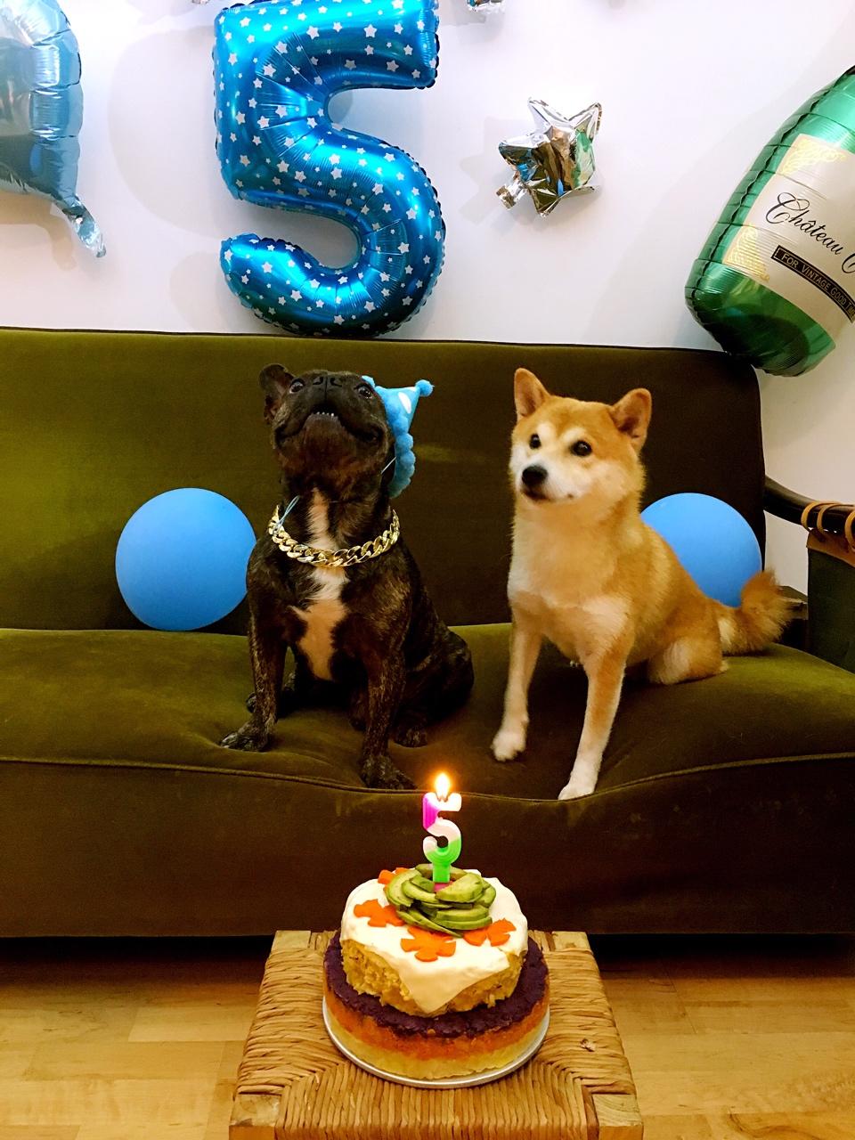 静静家的私厨做的狗狗生日蛋糕(纯天然无色素无面粉)