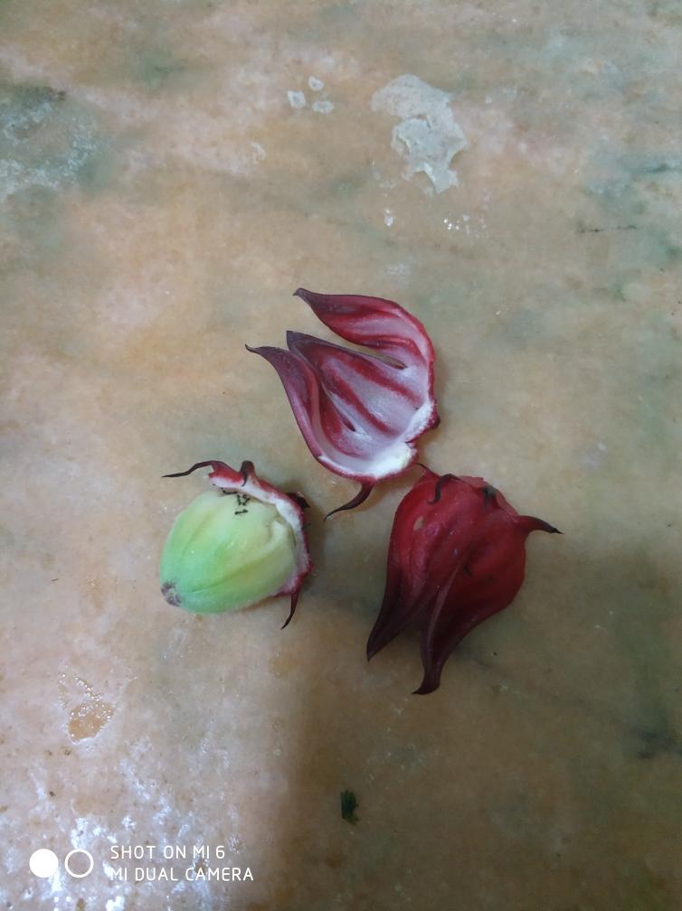 洛神花酒