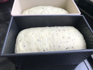 营养藜麦软软吐司的做法 步骤6
