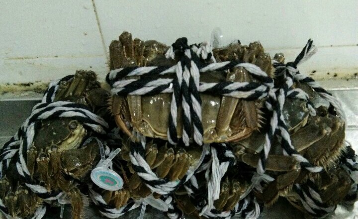 【蒸河蟹的做法步骤图,蒸河蟹怎么做好吃】噗