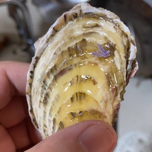 原味生蚝的做法 步骤2