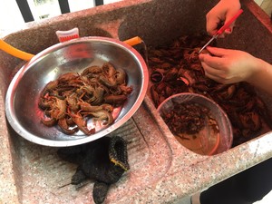 小龍蝦蝦頭的處理的做法 步驟1