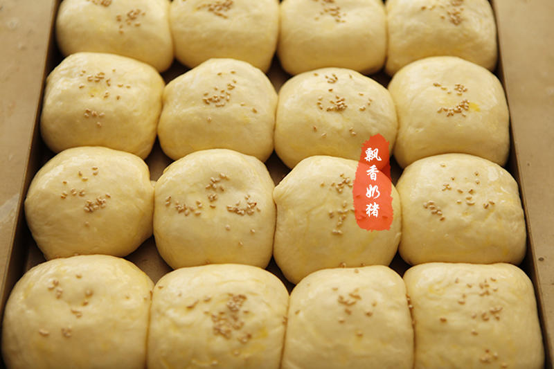 【最爱的粗粮红薯 之 红薯小餐包的做法步骤图】飘香奶猪-制作