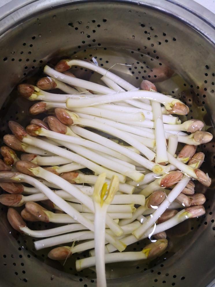【素炒花生芽的做法步骤图,素炒花生芽怎么做好吃】祉