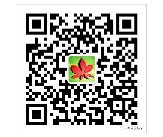 【波兰种奶香吐司（玉米油）的做法步骤图】红叶99-制作