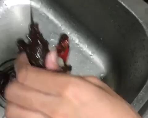 清洗小龙虾的做法 步骤3