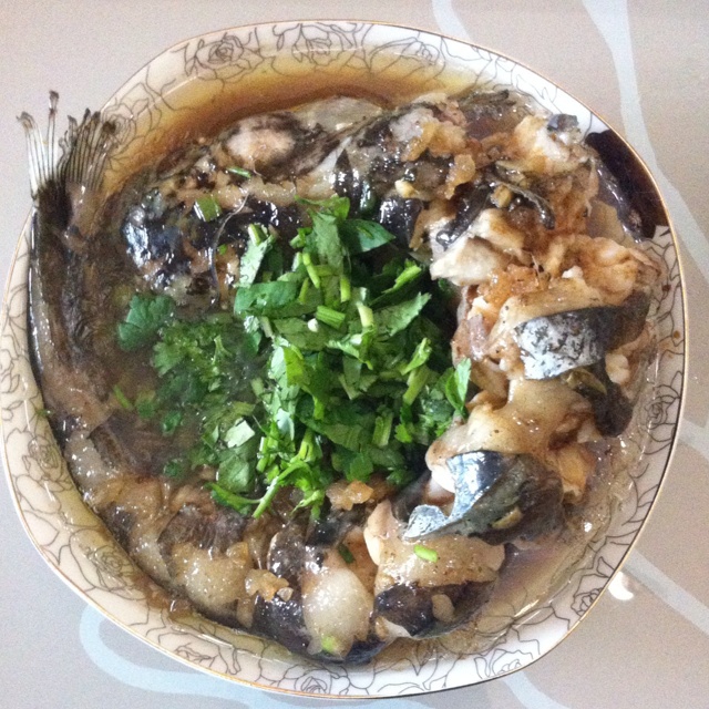 清蒸鲶鱼的全部作品