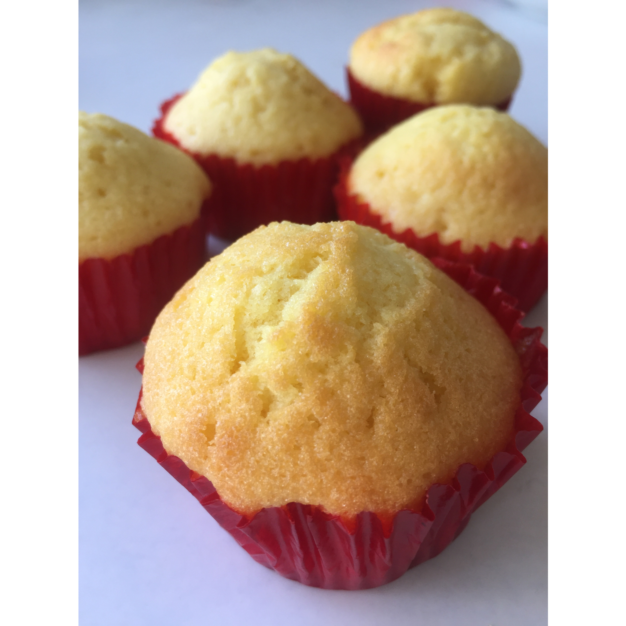 玛德琳（蓝带方）