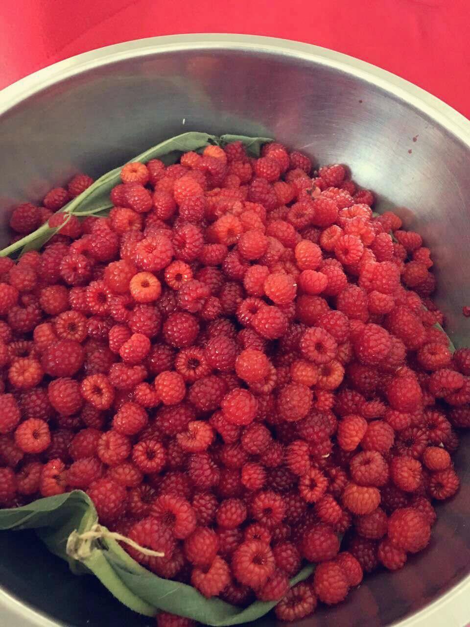 野生树莓果酱