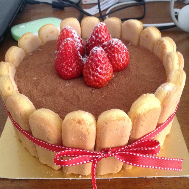 提拉米苏（硬身版）