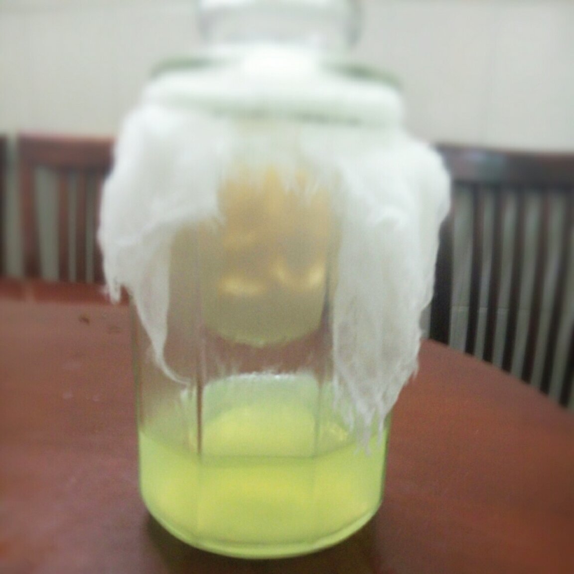 Superfood! —— 简易自制希腊酸奶