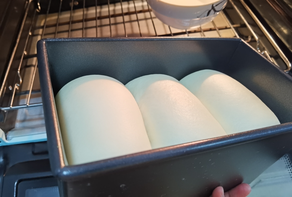 每周必做的北海道吐司520g，柔软拉丝，一次发酵（中种法）的做法 步骤20