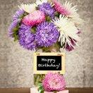 不吃猫的小鱼儿