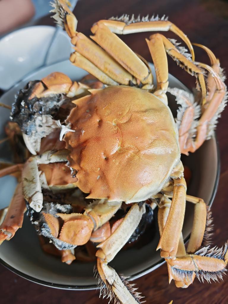 午餐•2025年12月20日