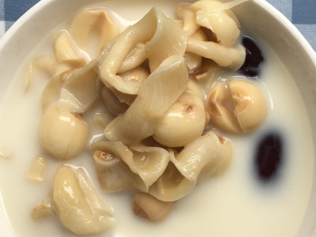 干燥严冬，你需要一碗花胶煮牛奶来挽救你的皮肤