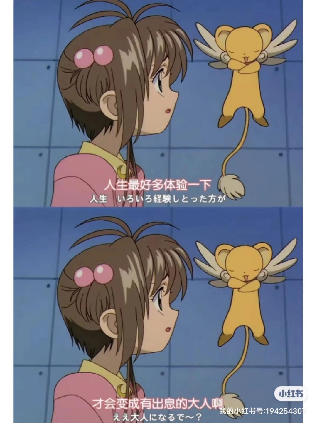 做饭的杏子酱