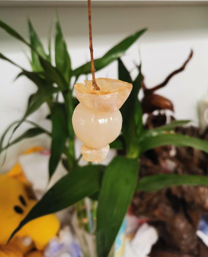 自制荔枝灯笼