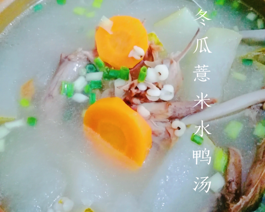 夏日里的靓汤-冬瓜薏米水鸭汤