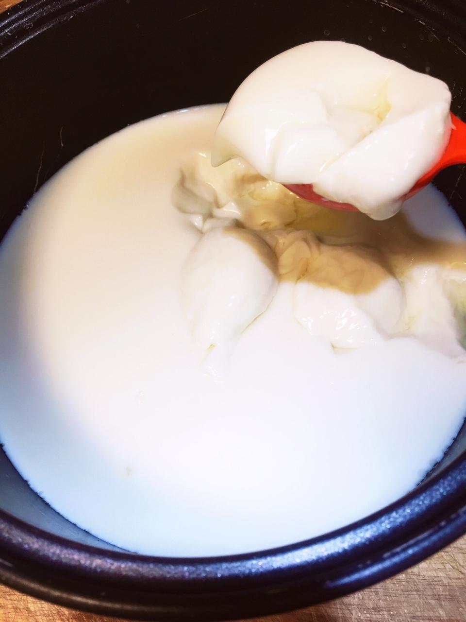 自制豆腐、豆腐脑（超详细）