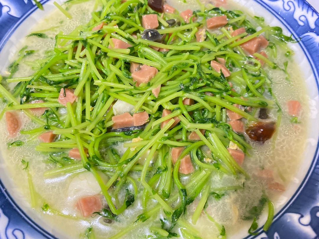 上汤豆苗