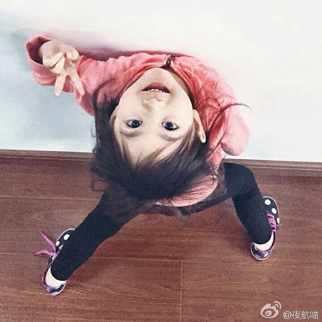 花又开好了661