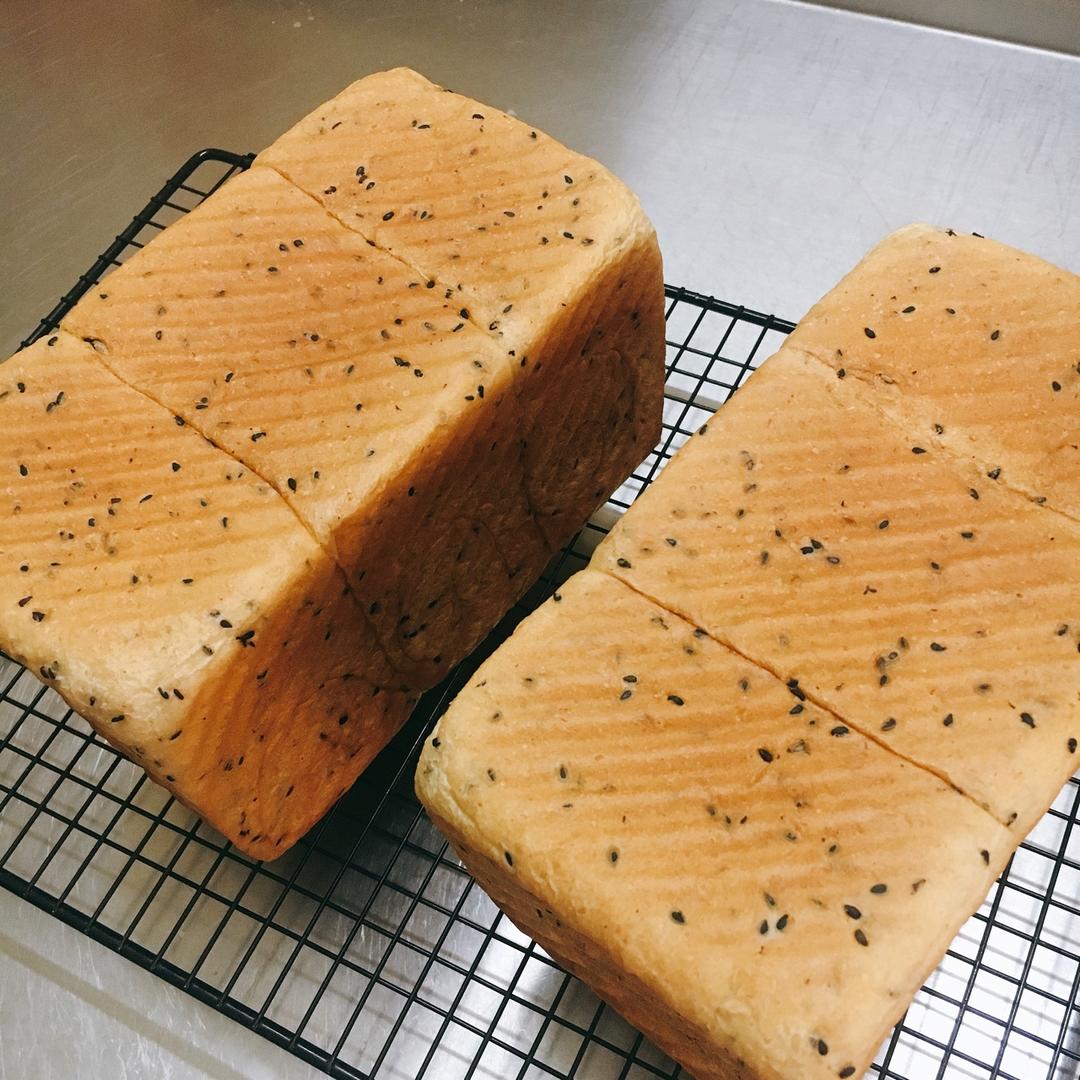 我的100个吐司练习