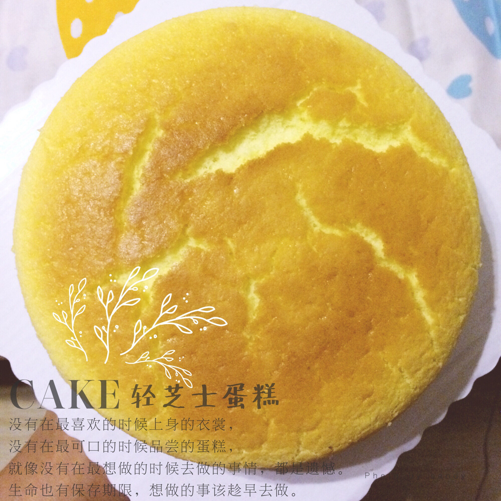 轻乳酪蛋糕