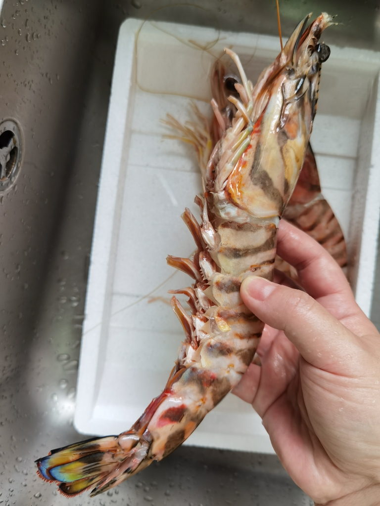 铁锅锁鲜半焗超大斑节虾的做法 步骤4