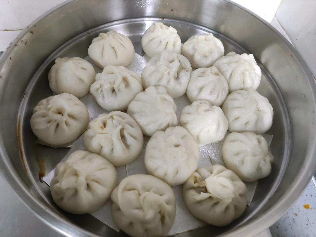 一次发酵肉包子