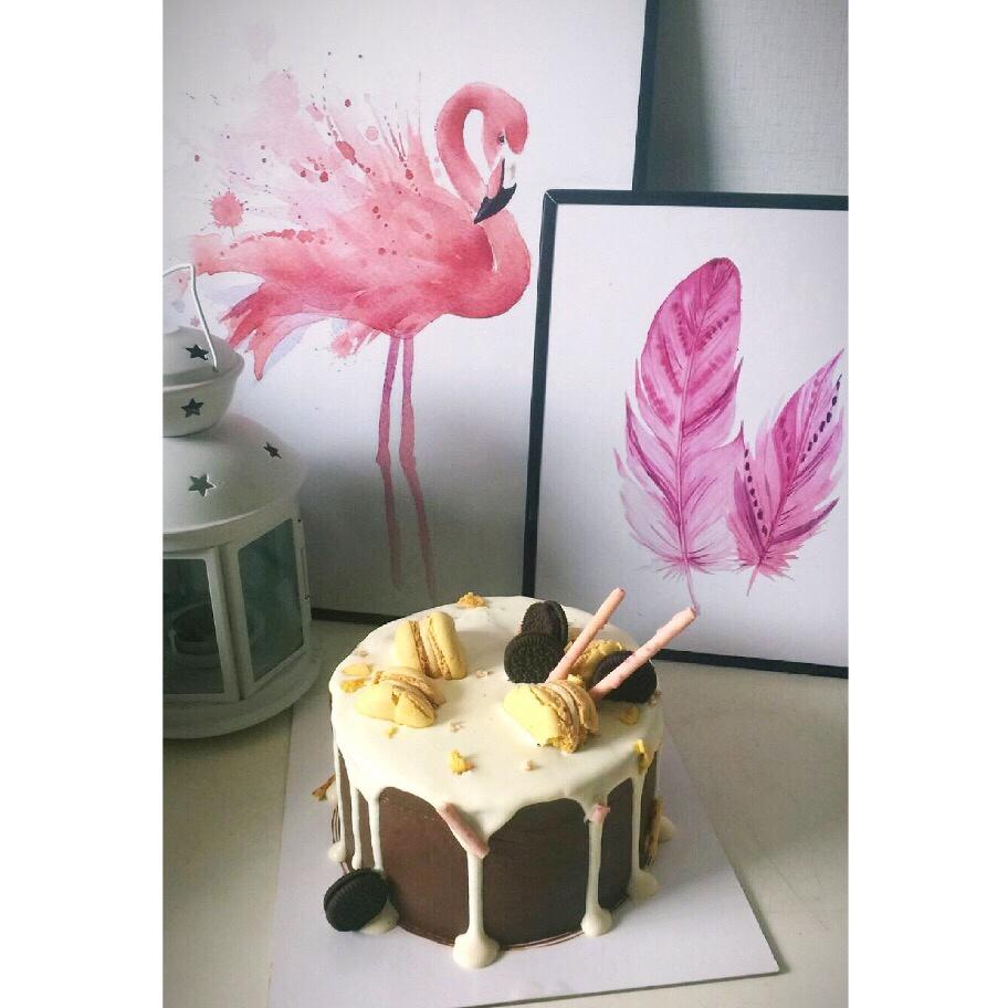 青井老师的巧克力戚风