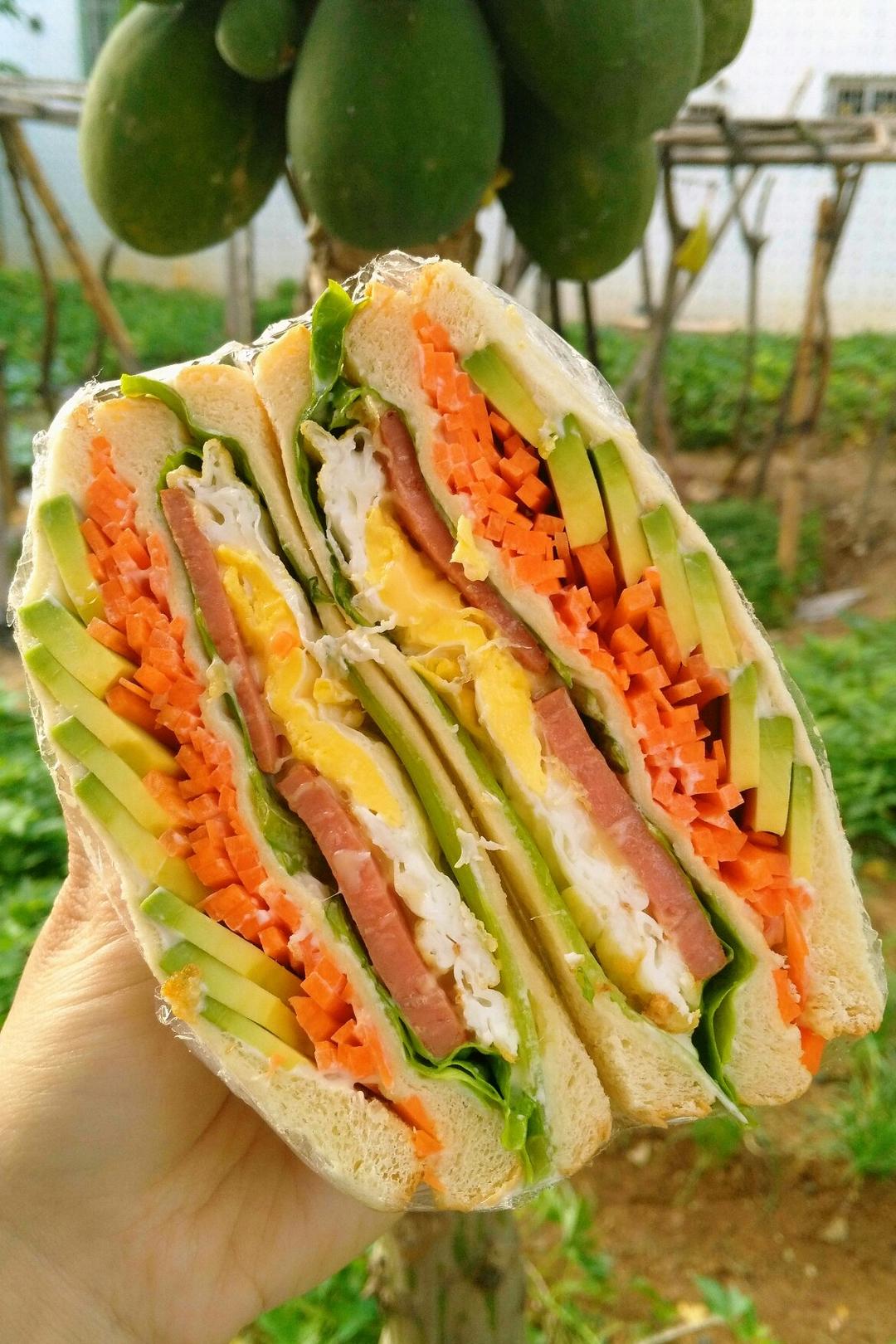 如何做超厚的沼三明治~详细tip！牛油果鸡蛋午餐肉三明治~