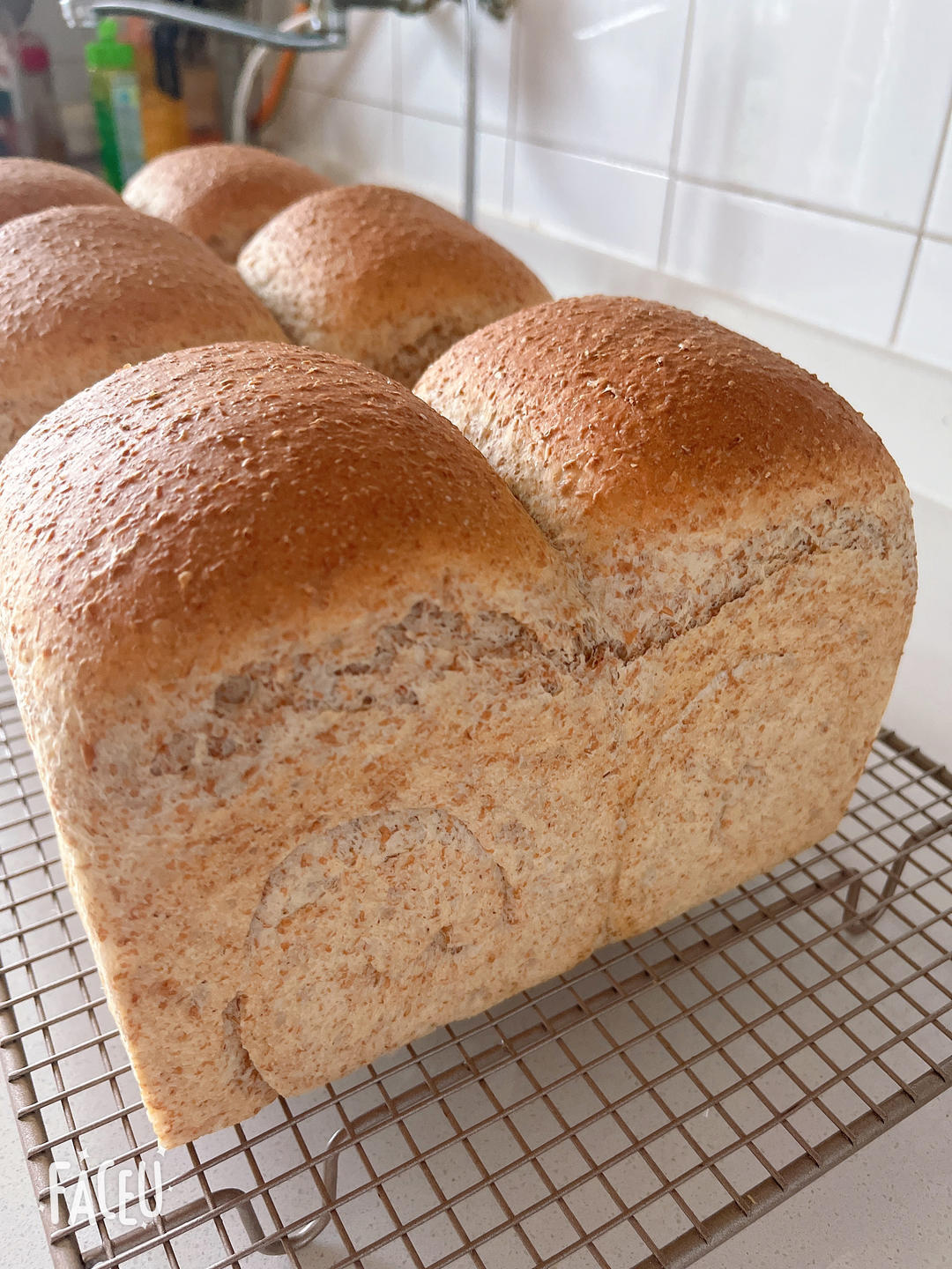 第三天依然柔软的粗全麦吐司