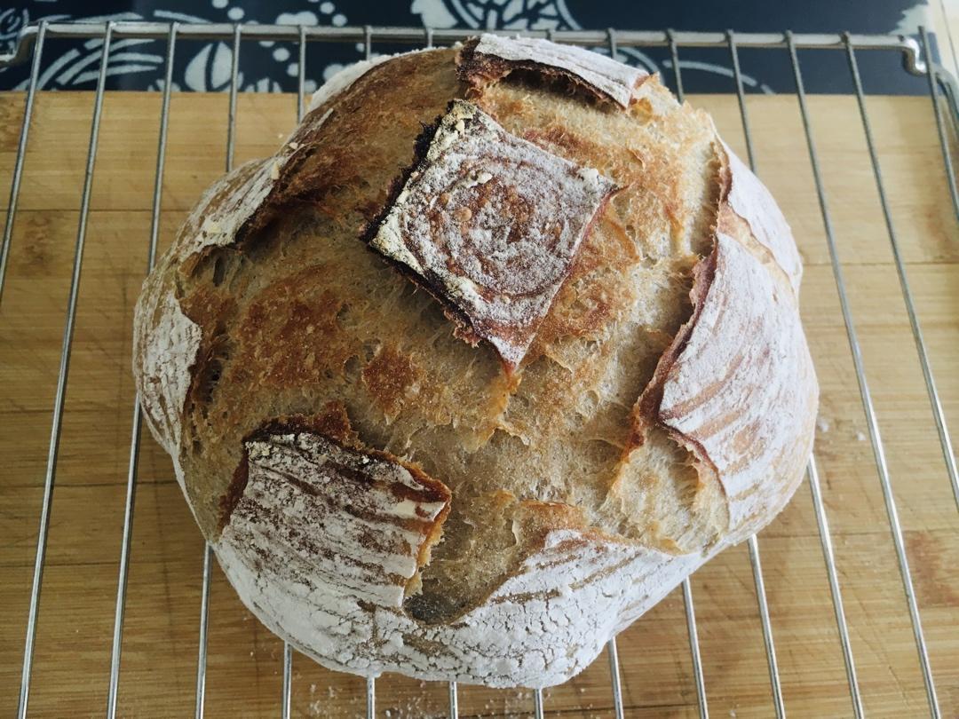 🍞免揉欧包新手入门指南（冷藏发酵、无油无糖）