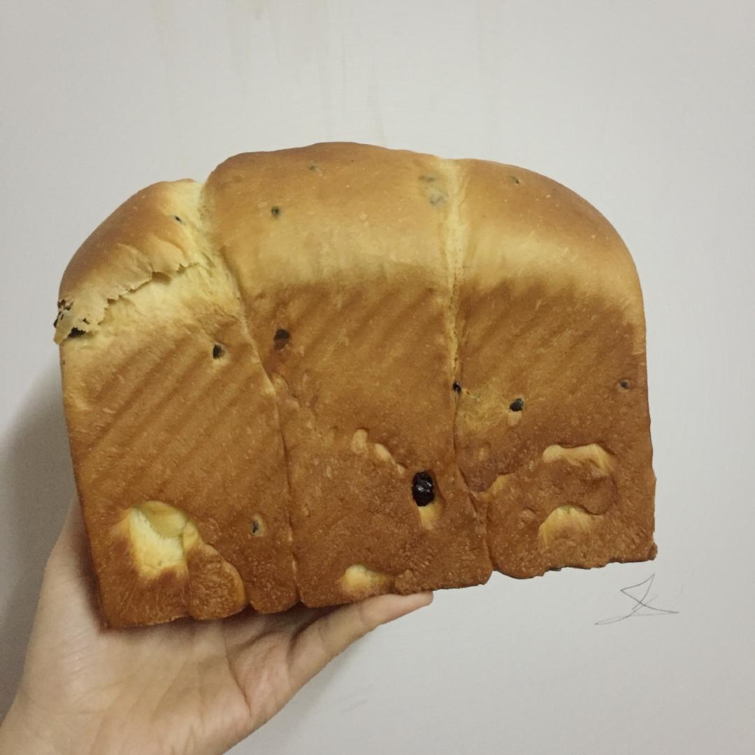 夺命软吐司(๑´ڡ`๑)超软拉丝极速方便的一次发酵吐司