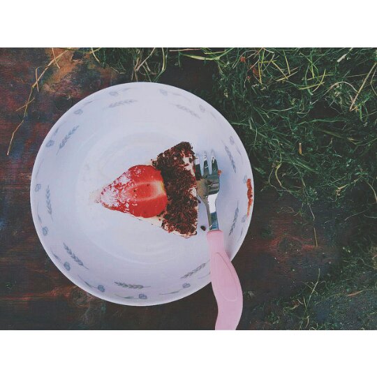 果子学校可可戚风