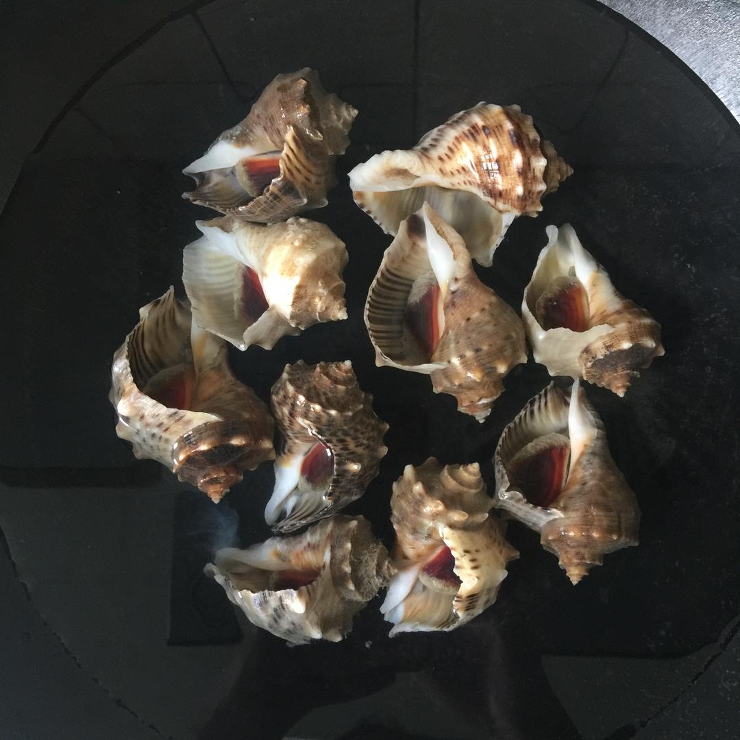 水煮海螺（刘爸爸厨房秘籍）