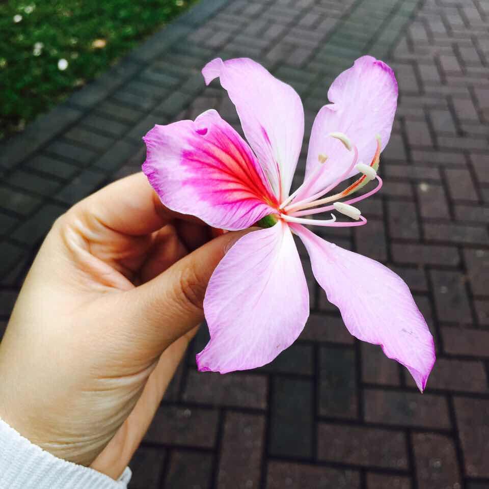 任意小厨的厨房