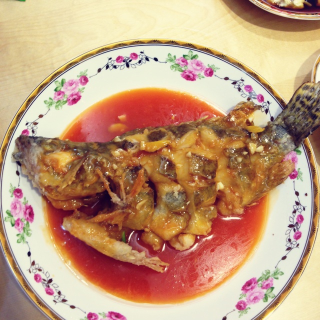 松鼠桂鱼