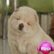 无为青年在路上