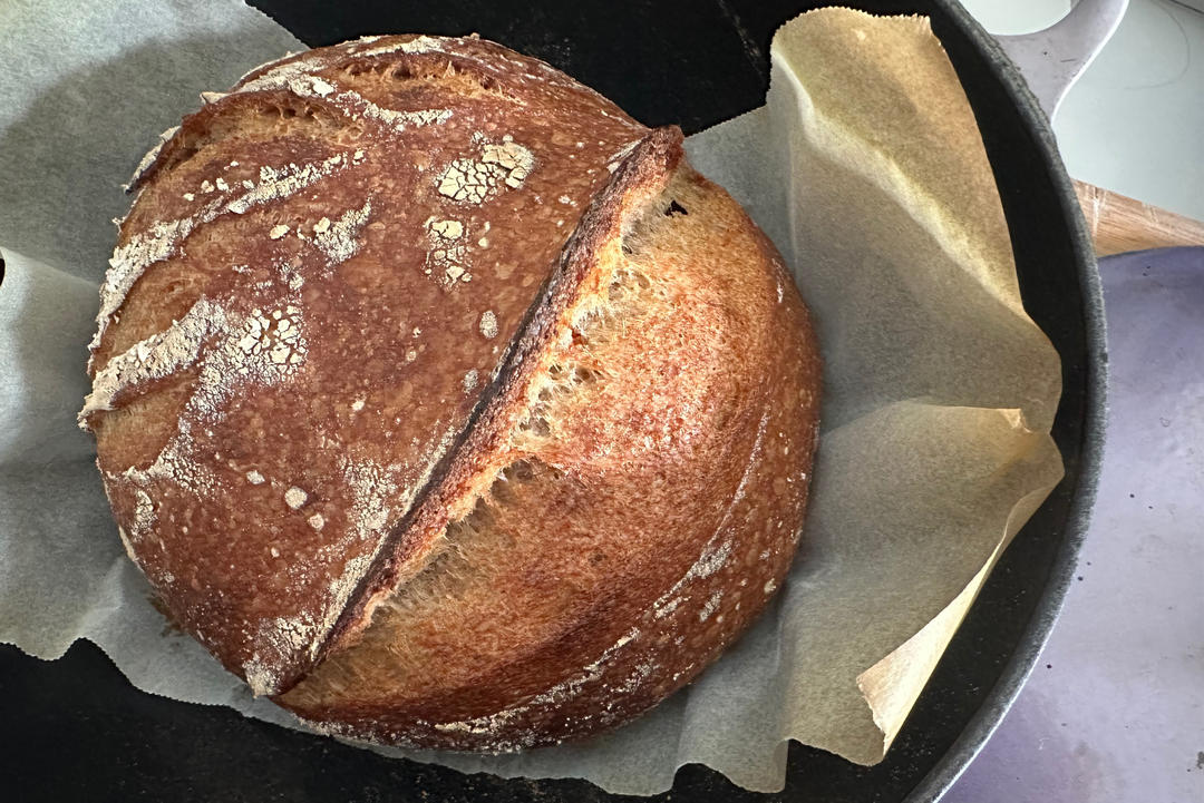 葡萄种酵母培养记录