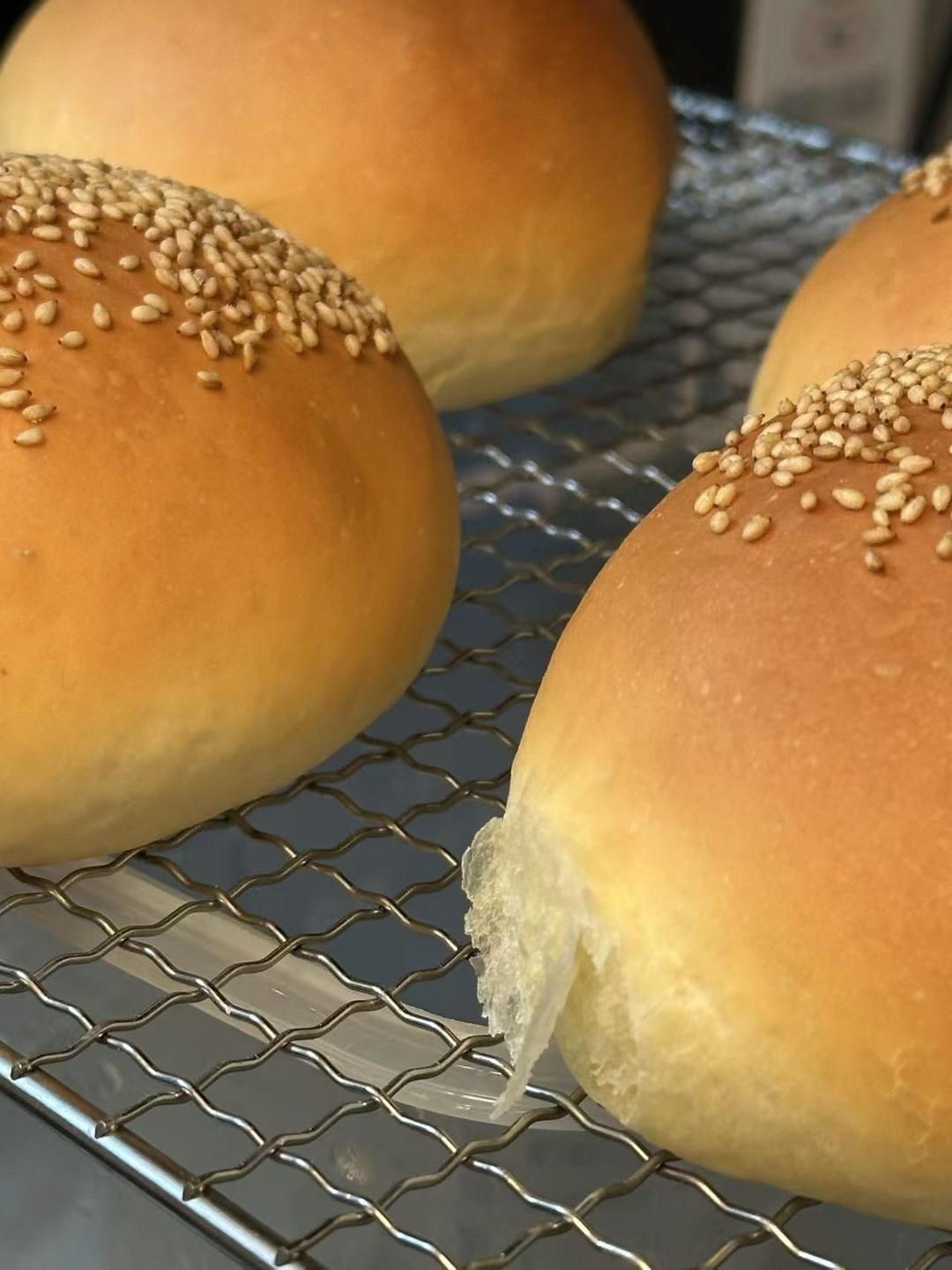 汉堡胚 poolish（波兰种）