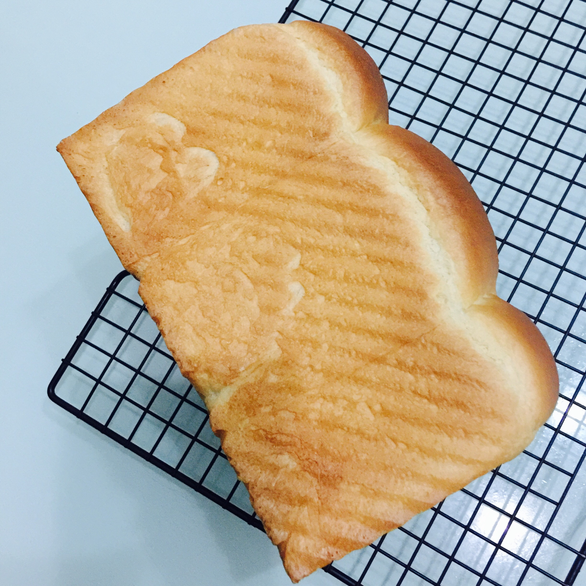 波兰种北海道吐司