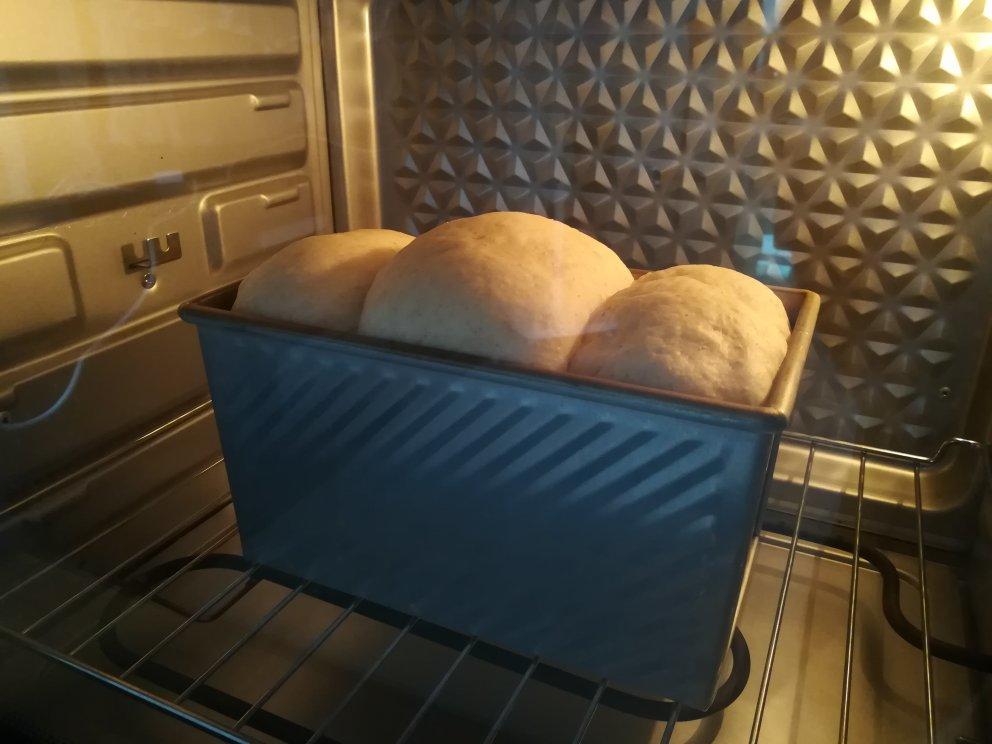 夺命软吐司(๑´ڡ`๑)超软拉丝极速方便的一次发酵吐司