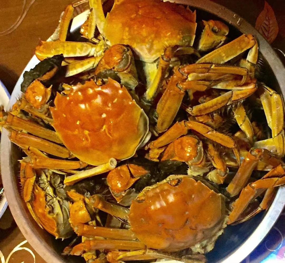 蒸河蟹～记录一只越狱后又自投罗网的螃蟹🦀