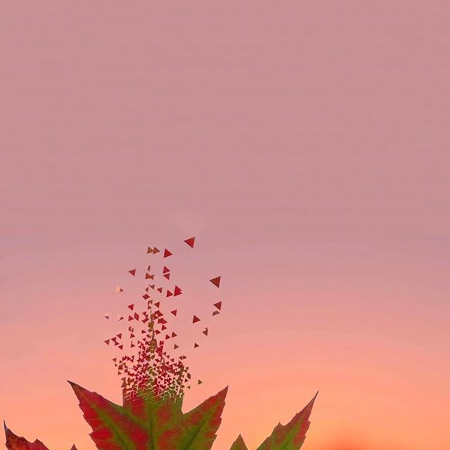 厨房小白妞1枚