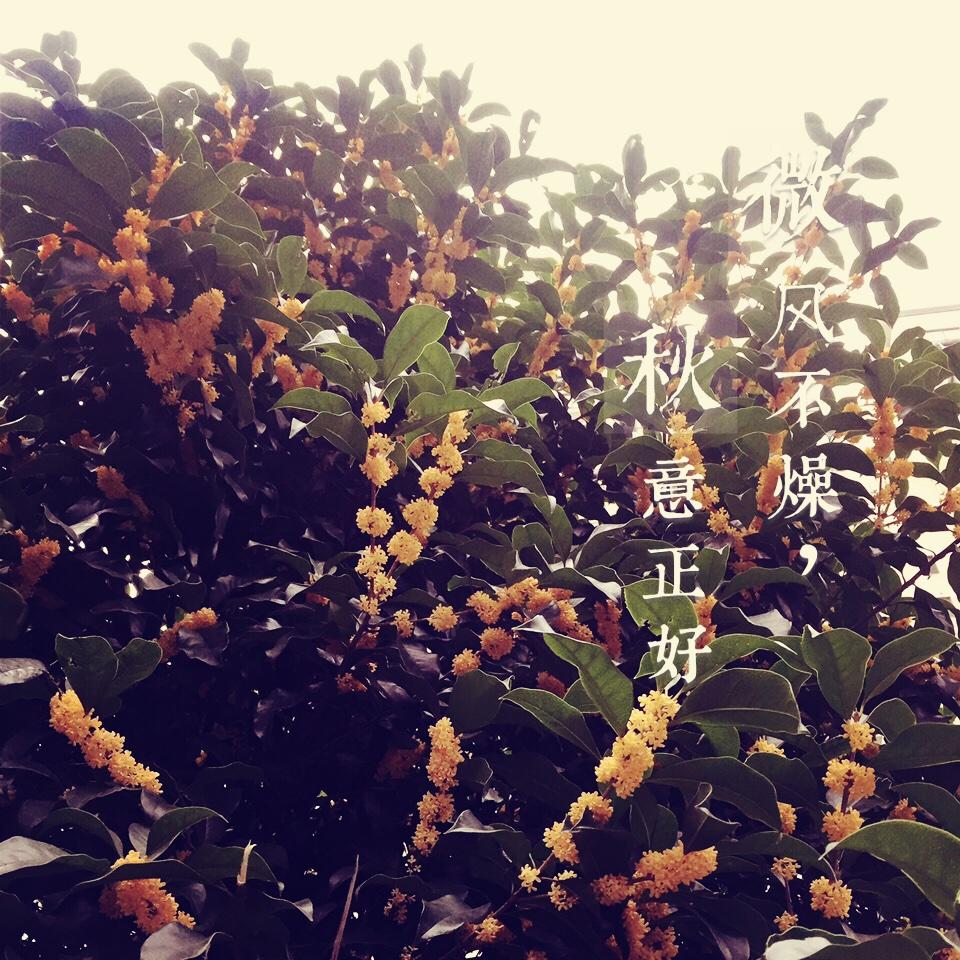 但是宝宝爱吃啊