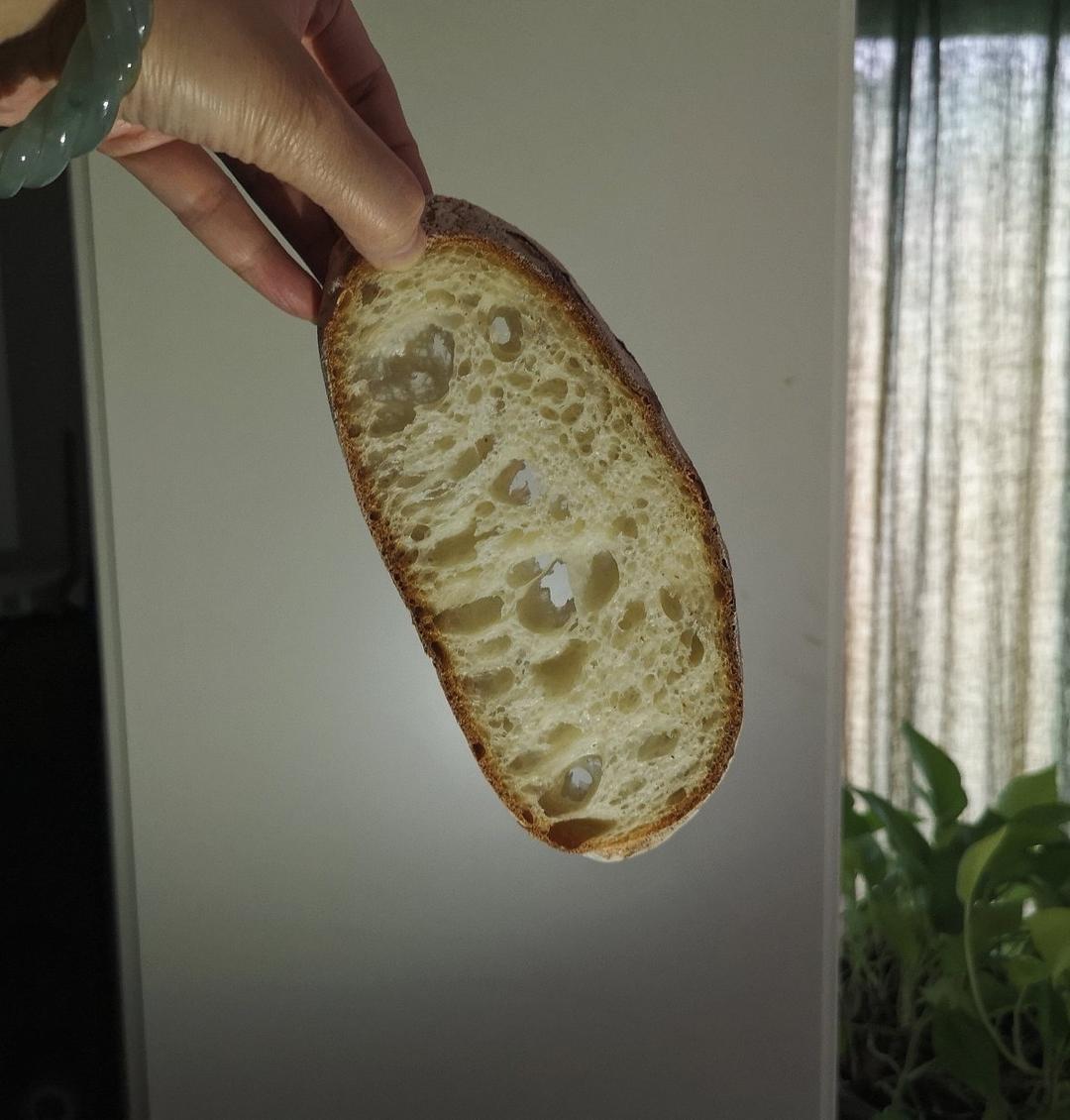 欧包 波兰种 割包视频