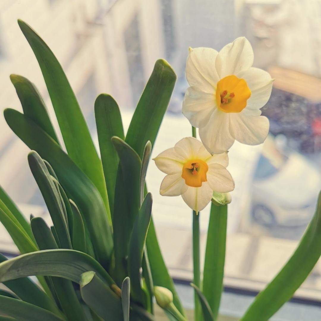 缓缓而行迟迟吾行